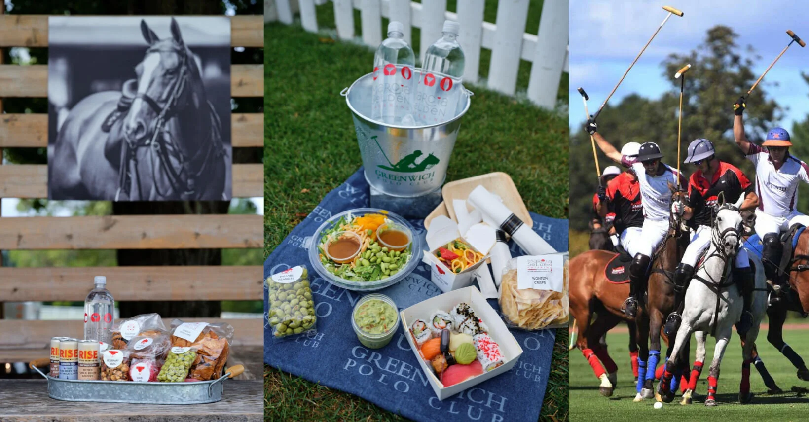 Borse clearance polo greenwich